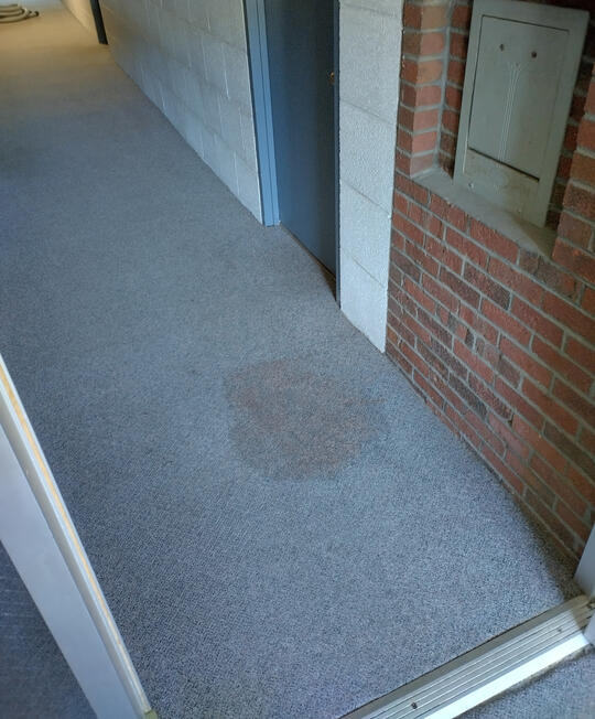 unclaimed hall stain