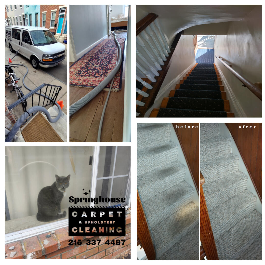 office carpet before after